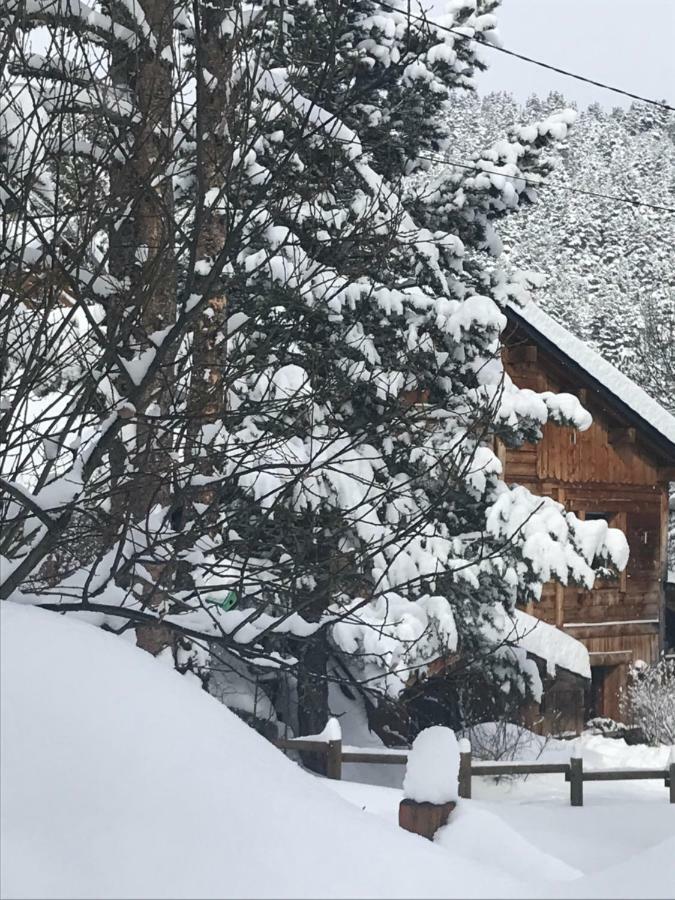 Chalet Pomme de Pin 5 chambres 12 à 14 personnes Formiguères Exterior foto